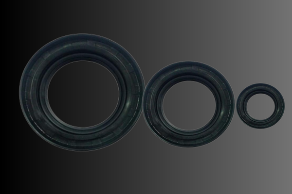 Product-Oil seal-3